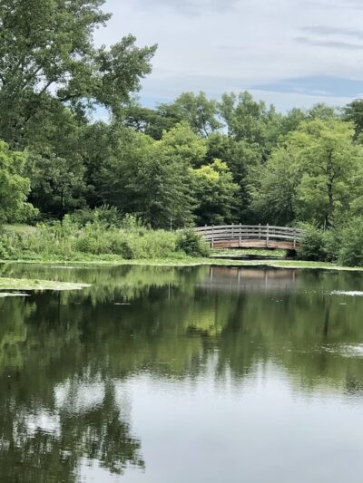 Lake Harriet Park - Woodridge, IL
