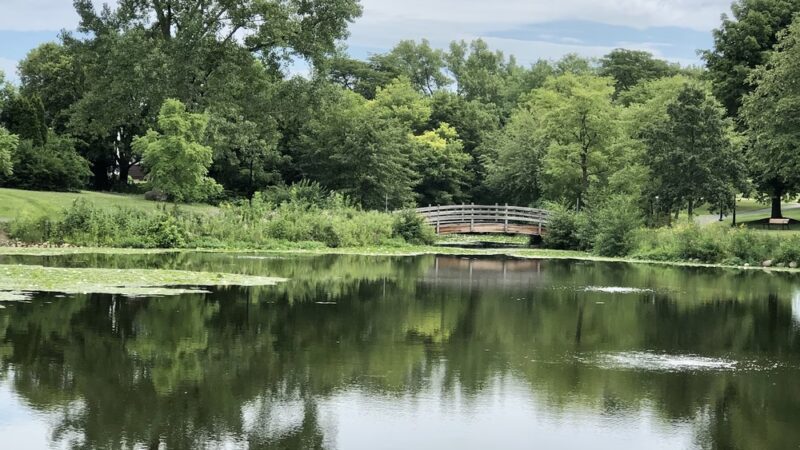 Lake Harriet Park - Woodridge, IL