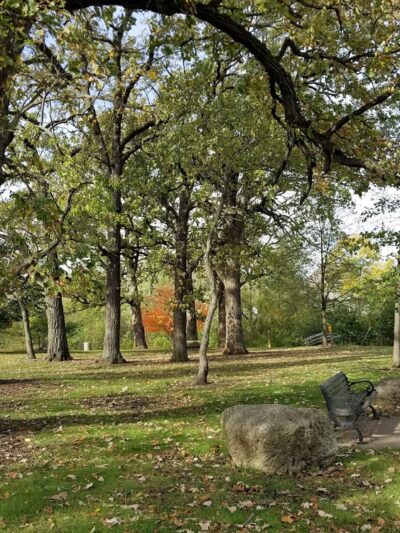 Lake Harriet Park - Woodridge, IL
