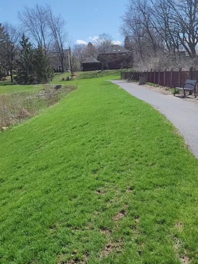 Mending Wall Park - Woodridge, IL