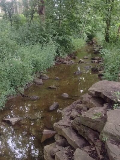 Seven Bridges Park - Woodridge, IL