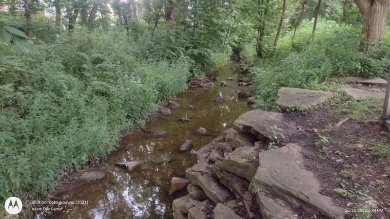 Seven Bridges Park - Woodridge, IL