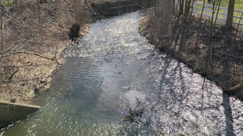 Summer Hill Park - Woodridge, IL