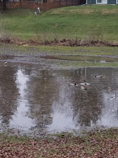 Summer Hill Park - Woodridge, IL