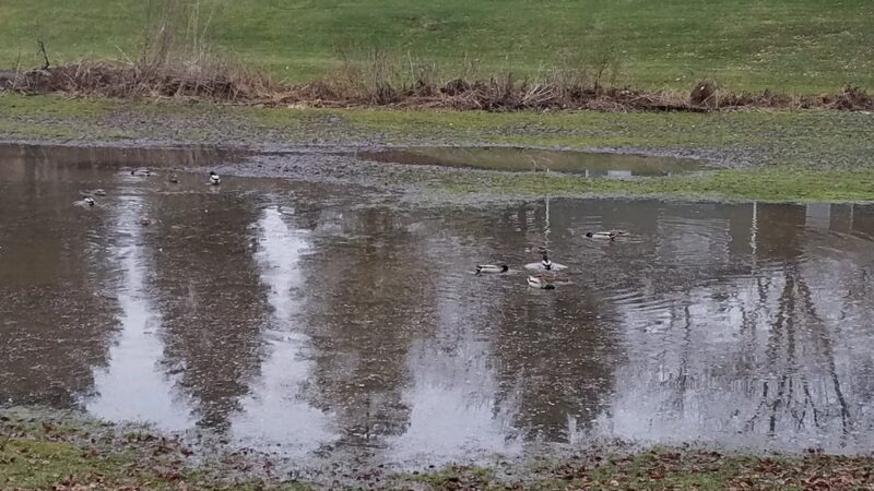 Summer Hill Park - Woodridge, IL