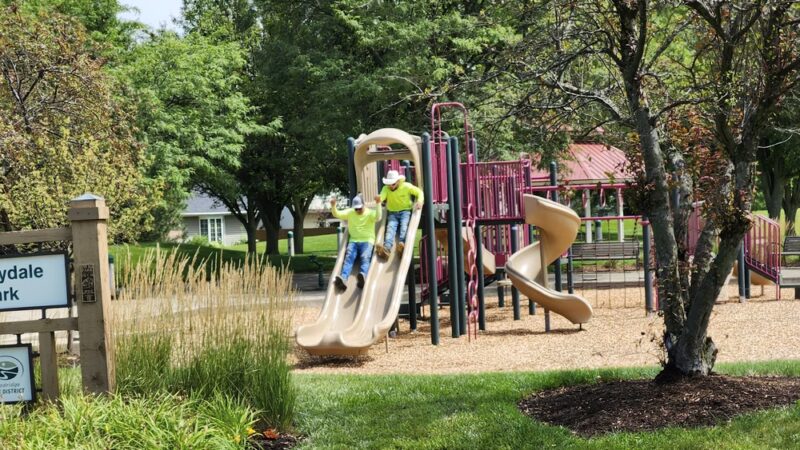 Sunnydale Park - Woodridge, IL