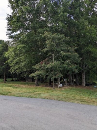Southern Shade RV Park - Woodruff, SC