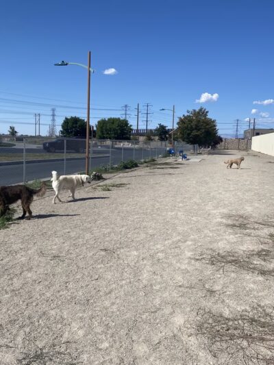 Foxboro Dog Park - Woods Cross, UT