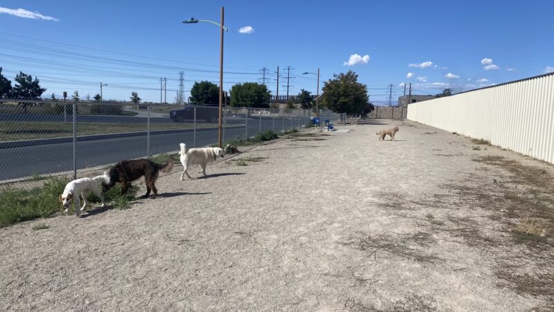 Foxboro Dog Park - Woods Cross, UT