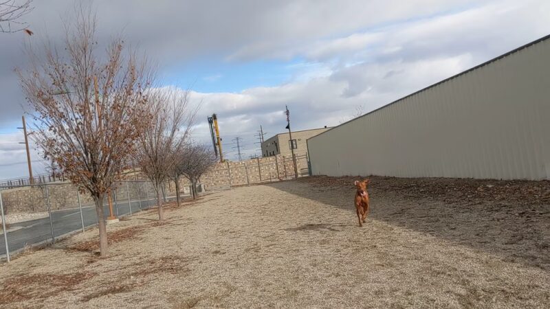 Foxboro Dog Park - Woods Cross, UT