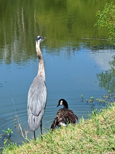 Woodsboro Park - Woodsboro, MD