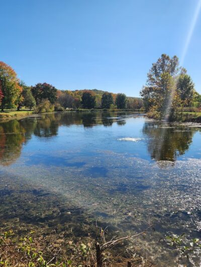 Woodsboro Park - Woodsboro, MD