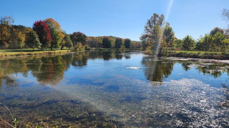Woodsboro Park - Woodsboro, MD