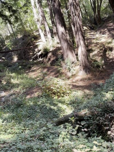 Bridle Trailhead - Woodside, CA