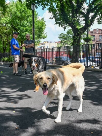 L/CPL Thomas P. Noonan Jr. Playground - Woodside, NY