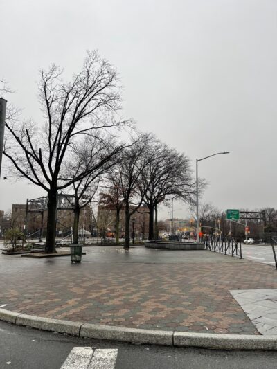 Pigeon Paradise - Woodside, NY