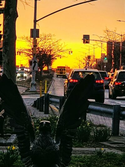 Sabba Park - Woodside, NY