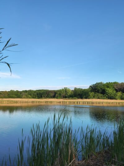 Dufield Pond Conservation Area - Woodstock, IL