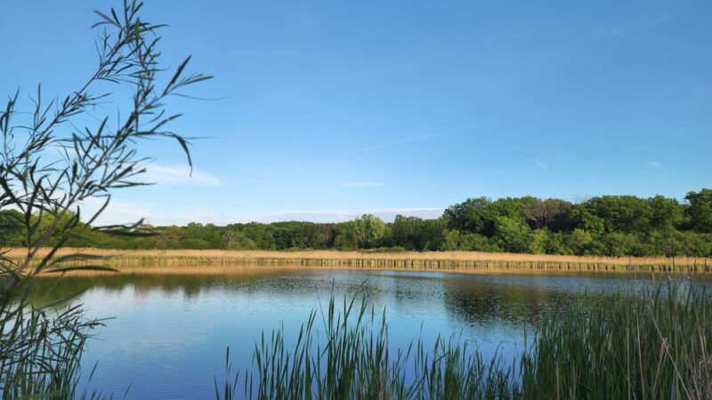 Dufield Pond Conservation Area - Woodstock, IL
