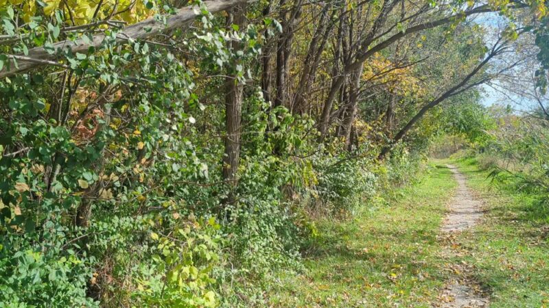 Dufield Pond Conservation Area - Woodstock, IL