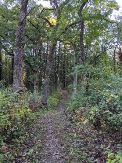 Dufield Pond Conservation Area - Woodstock, IL