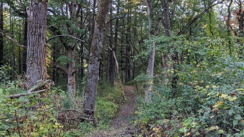 Dufield Pond Conservation Area - Woodstock, IL