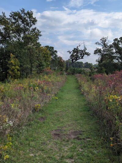 Kishwaukee Headwaters Conservation Area - Woodstock, IL