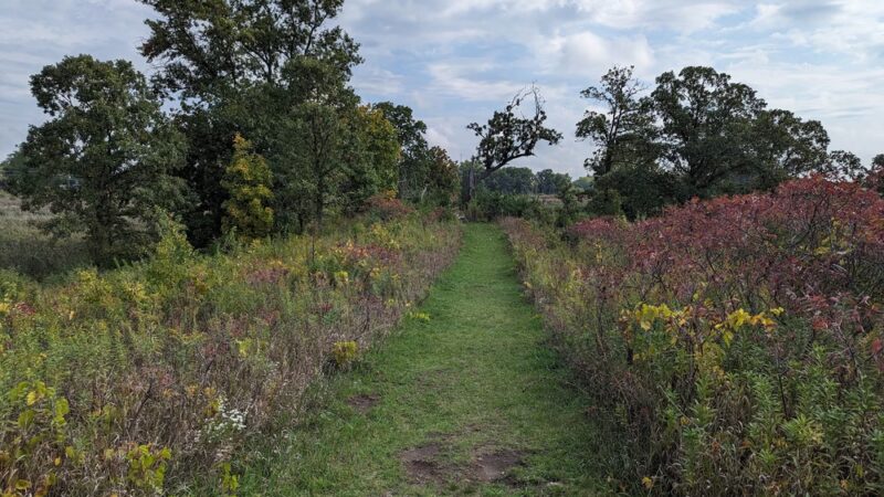 Kishwaukee Headwaters Conservation Area - Woodstock, IL