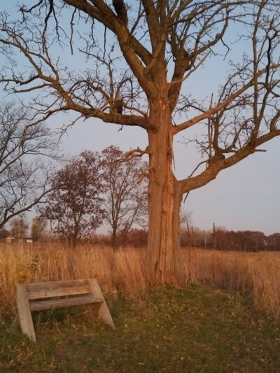 Kishwaukee Headwaters Conservation Area - Woodstock, IL