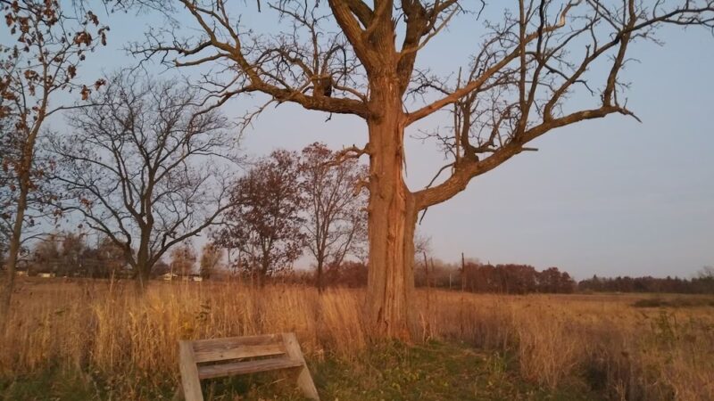 Kishwaukee Headwaters Conservation Area - Woodstock, IL