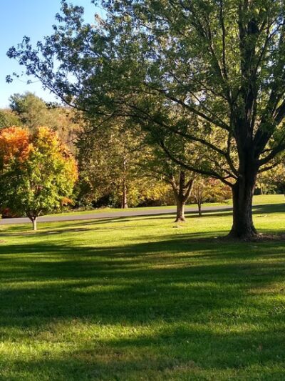 W.O. Riley Park - Woodstock, VA