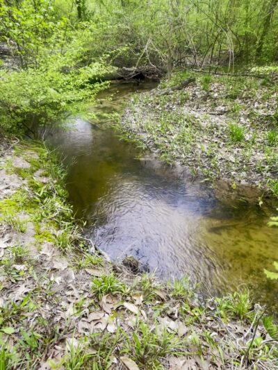 Wild Azalea Trailhead Twin Bridges Road - Woodworth, LA