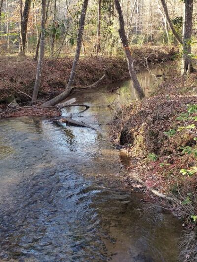 Wild Azalea Trailhead Twin Bridges Road - Woodworth, LA