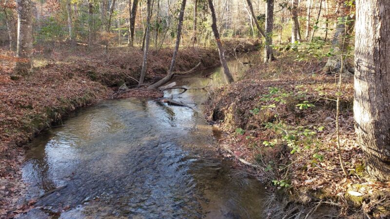 Wild Azalea Trailhead Twin Bridges Road - Woodworth, LA