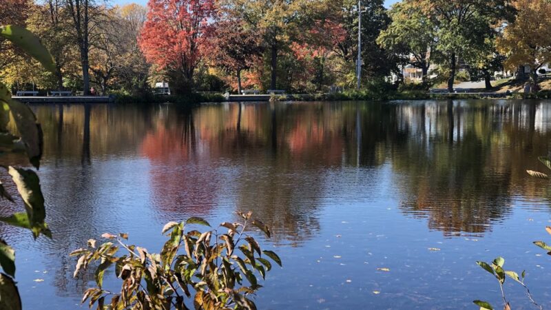 Cass Park - Woonsocket, RI