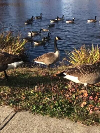 Cass Park - Woonsocket, RI