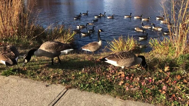 Cass Park - Woonsocket, RI