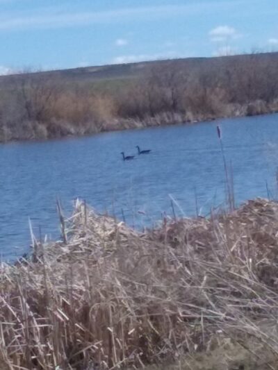 Veterans Park - City of Worland Parks - Worland, WY