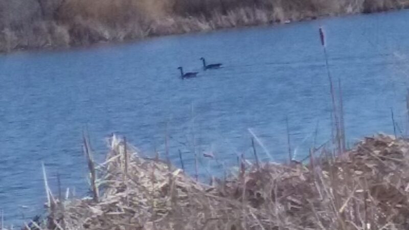Veterans Park - City of Worland Parks - Worland, WY