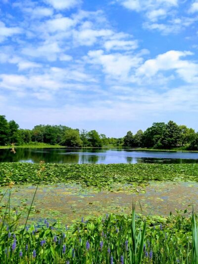 Altman Park - Worth, IL