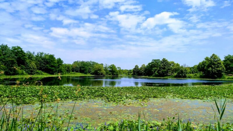 Altman Park - Worth, IL