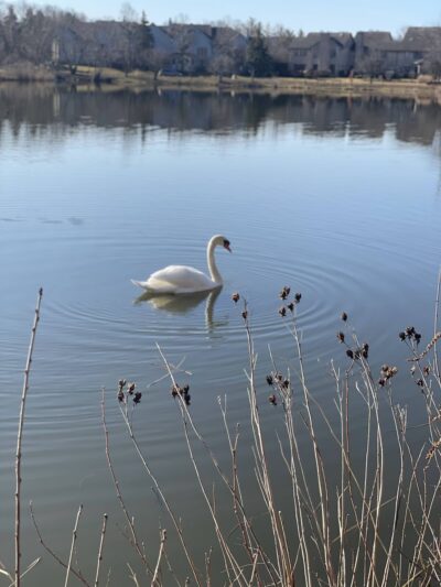 Altman Park - Worth, IL