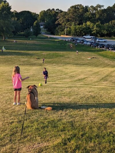 Homerding Park - Worth, IL