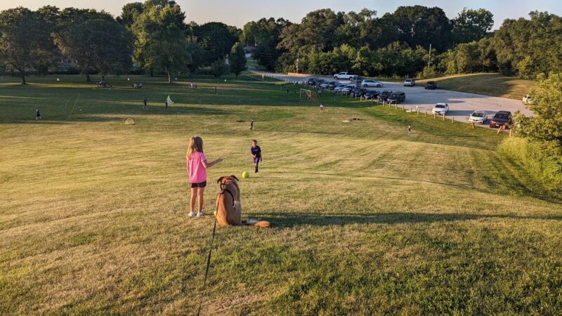 Homerding Park - Worth, IL