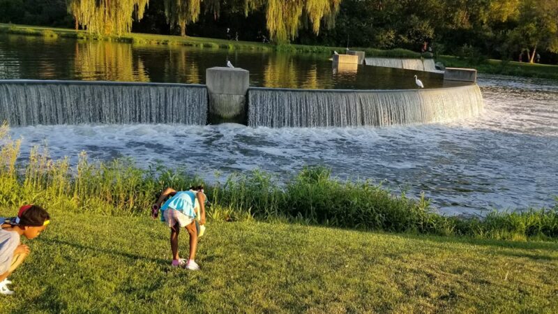 Homerding Park - Worth, IL