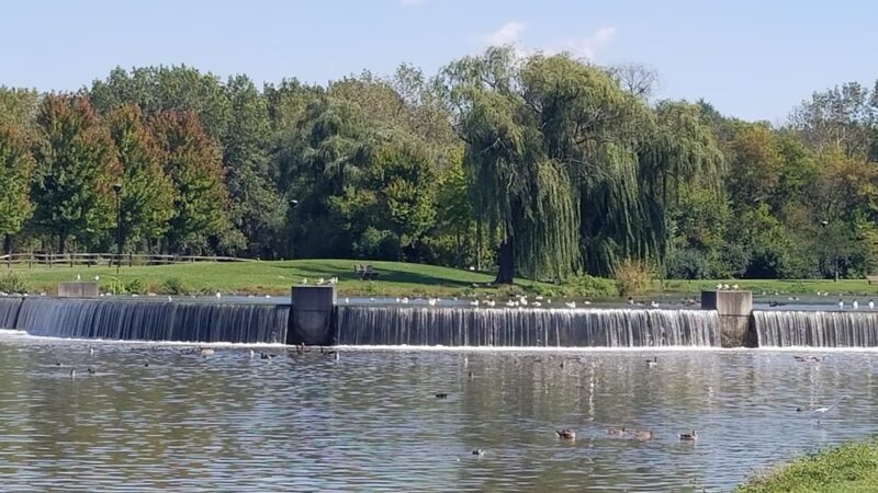 Homerding Park - Worth, IL