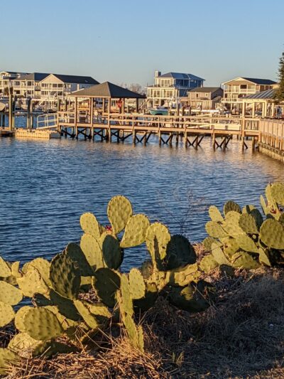 Island Drive Mini-Park - Wrightsville Beach, NC