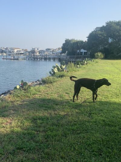 Island Drive Mini-Park - Wrightsville Beach, NC