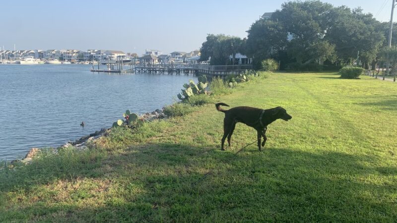 Island Drive Mini-Park - Wrightsville Beach, NC