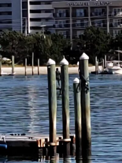 South Channel Drive Mini-Park - Wrightsville Beach, NC